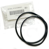 PFXZCBWG61